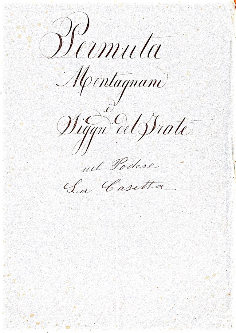 Permuta di Terre a Palaia: Un Tassello di Storia Agricola Ottocentesca