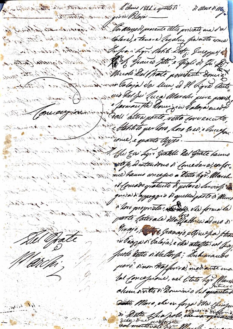 Un Muro, un Farmacista e un Patto: Storie di Palaia nel 1862