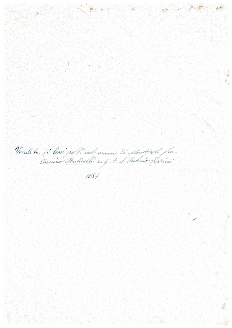 Un Affare di Famiglia e Terra: Il Censo Perpetuo di Nannina Mulinelli a Fornoli nel XVII Secolo